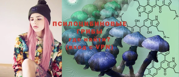 дмт Нефтегорск